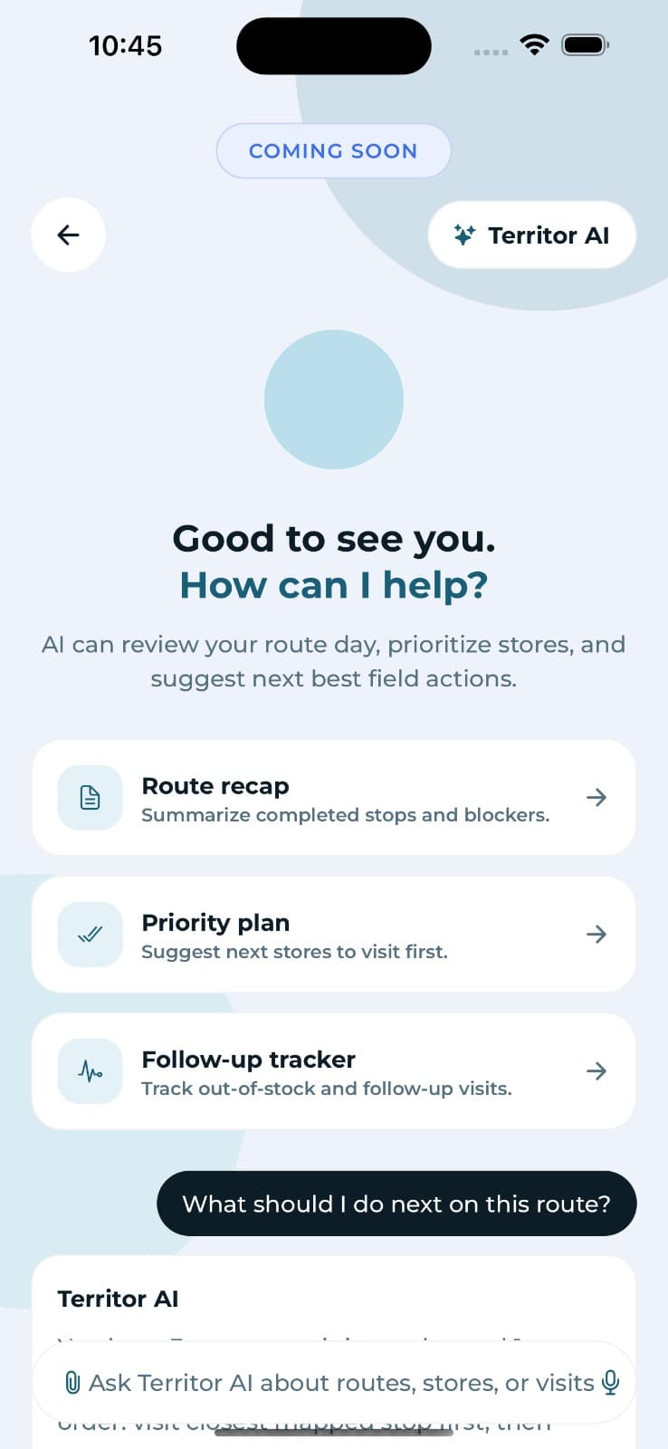 Territory Pilot — Territor AI assistant